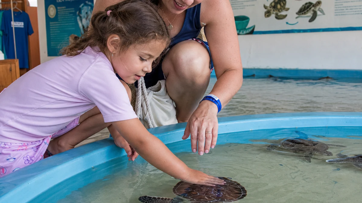 Child interacting with a sea turtle at the Isla Mujeres turtle farm